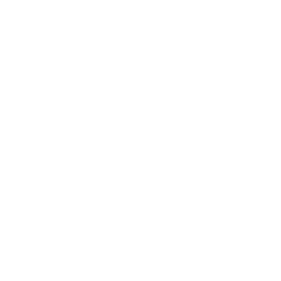 wsapp-icon